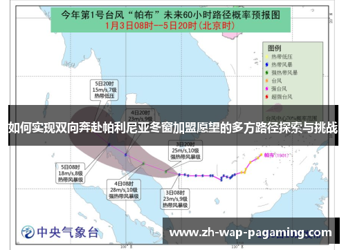 如何实现双向奔赴帕利尼亚冬窗加盟愿望的多方路径探索与挑战