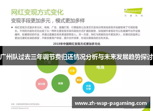 广州队过去三年调节费归还情况分析与未来发展趋势探讨