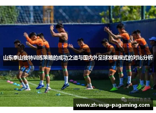 山东泰山独特训练策略的成功之道与国内外足球发展模式的对比分析