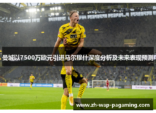 曼城以7500万欧元引进马尔穆什深度分析及未来表现预测