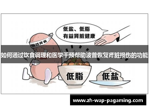 如何通过饮食调理和医学干预帮助波普恢复肾脏损伤的功能 如何通过饮食调理和医学干预帮助波普恢复肾脏损伤的功能