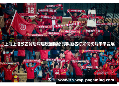 上海上港改名背后深层原因揭秘 球队新名称如何影响未来发展