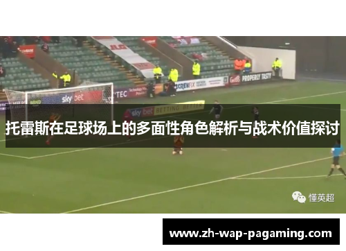 托雷斯在足球场上的多面性角色解析与战术价值探讨