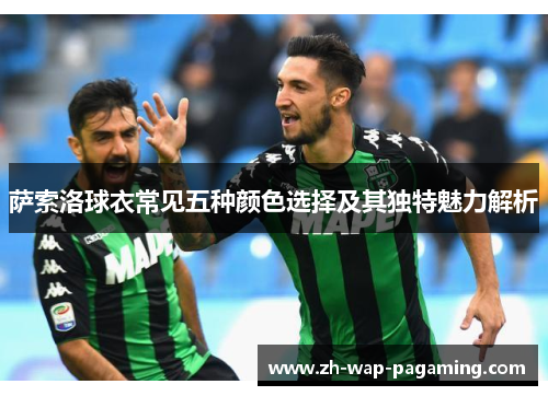 萨索洛球衣常见五种颜色选择及其独特魅力解析 萨索洛球衣常见五种颜色选择及其独特魅力解析