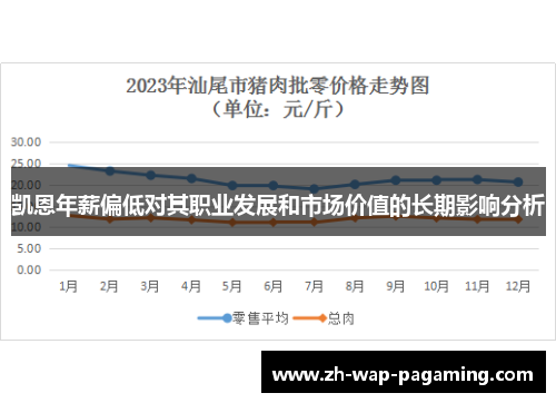 凯恩年薪偏低对其职业发展和市场价值的长期影响分析