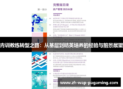 青训教练转型之路：从基层到精英培养的经验与前景展望