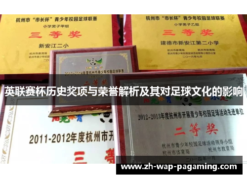 英联赛杯历史奖项与荣誉解析及其对足球文化的影响