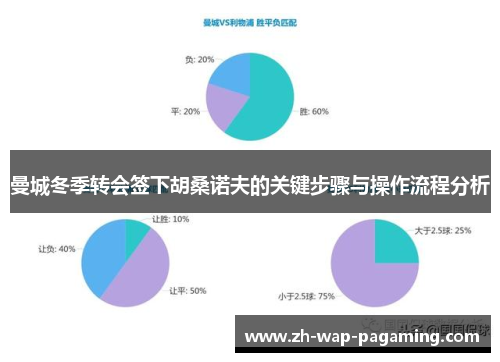 曼城冬季转会签下胡桑诺夫的关键步骤与操作流程分析