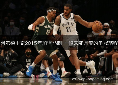 阿尔德里奇2015年加盟马刺 一段未能圆梦的争冠旅程